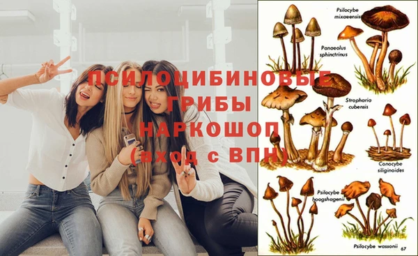 дурь Наволоки