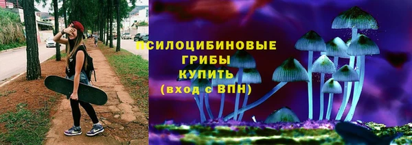 гидропоника Аркадак