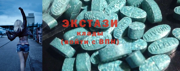 крисы Краснослободск