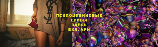 гидропоника Аркадак