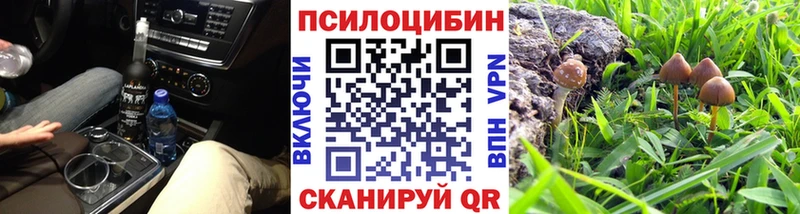Галлюциногенные грибы прущие грибы  дарк нет какой сайт  Тавда 